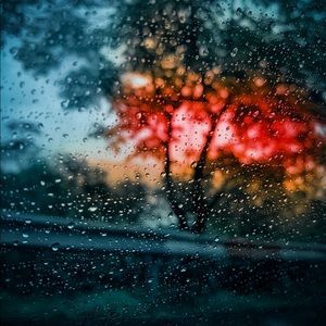 bundle for @wav2gnbp